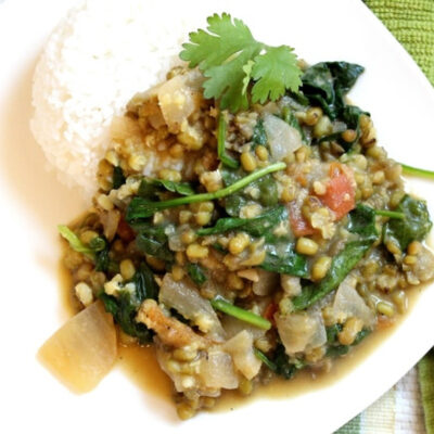Mung Bean Curry on a plate, garnished with cilantro.