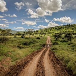 The First Timer's Guide to Camping in the Serengeti